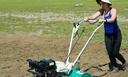 Gardenquake OREC
